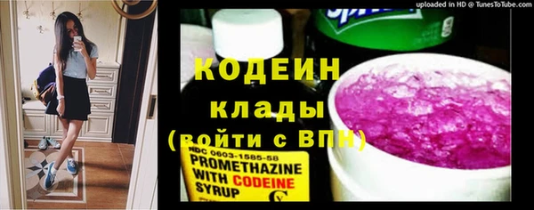 скорость Шали
