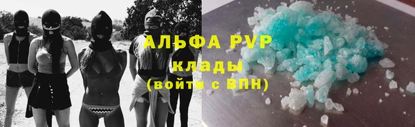 хмурый Щигры