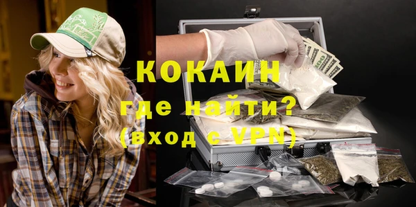скорость Шали