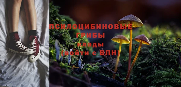 винт Шадринск