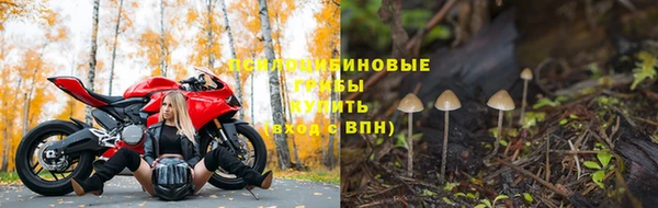 скорость Шали