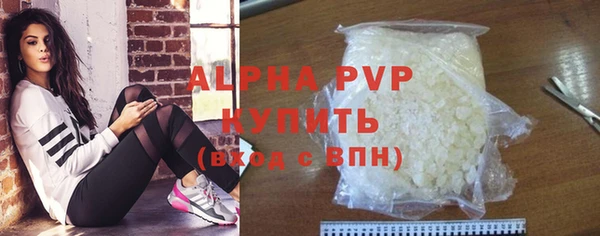 хмурый Щигры
