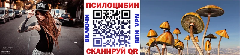 shop как зайти  Юрюзань  Галлюциногенные грибы Psilocybe 